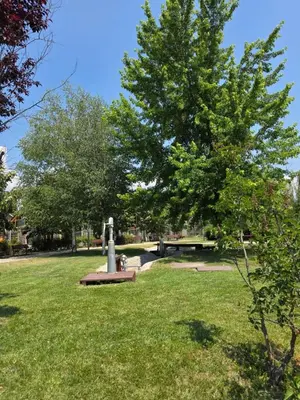 a park with a tree and a fire hydrant in the grass at Balcony and Mountain View 7 min Walk to Ski Gondola in Bansko