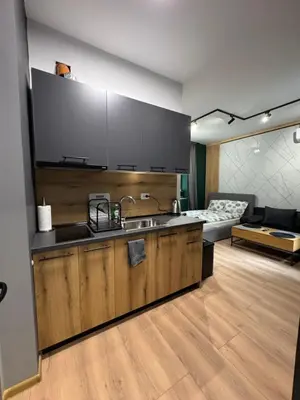 a kitchen with a sink and a couch in a room at Plovdiv City Apartments in Plovdiv