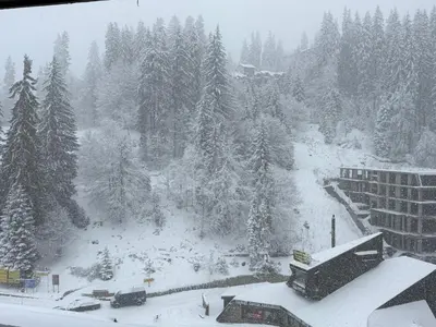 a view of a snow covered mountain with trees at Pamporovo Living Cozy Mountain Home in Chepelare