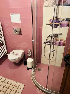 a pink bathroom with a shower and a toilet at Sofiaway Central Apartment in Sofia