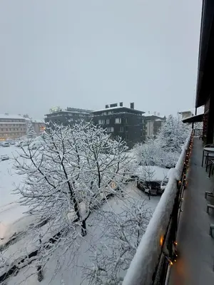 a tree covered in snow next to a building at Цветелина и Митко in Bansko