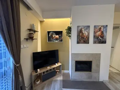 a living room with a tv and a fireplace at Aurora Apartment in Bansko
