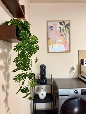 a kitchen with a plant next to a washing machine at Gino's place Home2Host in Bansko