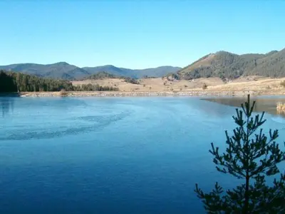 a large body of water with a tree in the foreground at Daisy Forest in Borino
