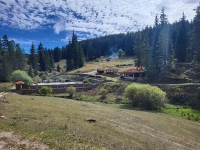a house on the side of a hill in a field at Daisy Forest in Borino