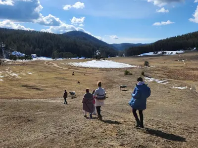 a group of people walking in a field with animals at Daisy Forest in Borino