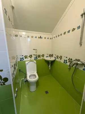 a green bathroom with a toilet and a sink at Къща за гости GREEN HILLS in Beli Osŭm