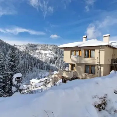 The House