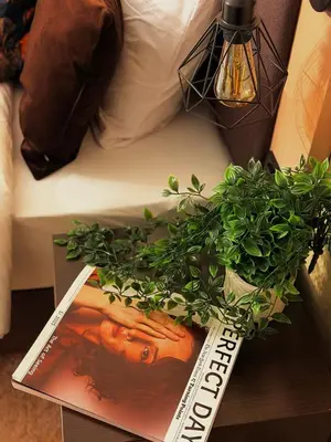 a magazine sitting on a table with a potted plant at Hotel NIRÁ in Sofia
