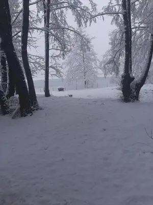 a snow covered field with trees in a park at Бунгала ЛАГО