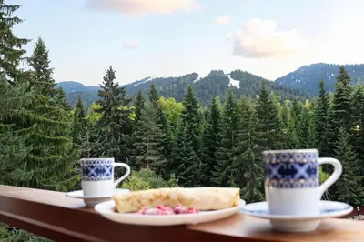 two tea cups and a plate of food on a balcony with trees at Rila Morning in Borovets