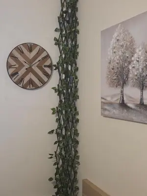 a wall with a clock and a plant at Smart Budget Stay at Sofia Centre by NDK and Vitosha Blvd in Sofia