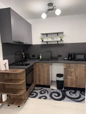 a kitchen with a sink and a stove top oven at Bianca Guest House Sapareva banya in Sapareva Banya