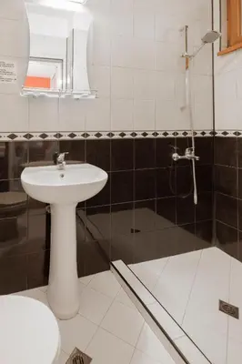 a bathroom with a sink and a shower at Trafi Em in Sofia