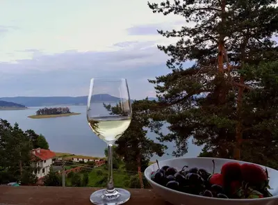 a glass of white wine next to a bowl of grapes at Villa Santa Maria in Tsigov Chark