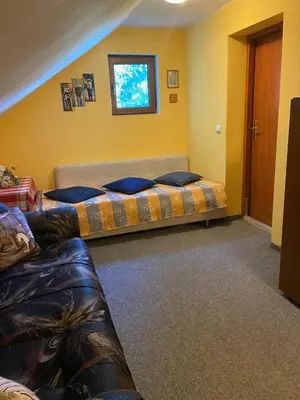 a bedroom with a bed and a couch in a room at Hotel Forest Star on the Ski Slope in Borovets