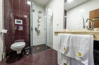 a bathroom with a toilet and a shower with towels at Victoriya's House in Hisarya