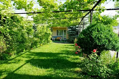 a garden with a pergola and some bushes at Camping Verila in Sapareva Banya