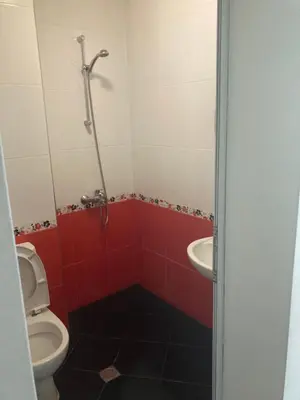 a red bathroom with a toilet and a sink at Atanasovata Kashta in Govedartsi