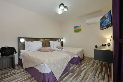 a hotel room with a bed and a television at Hotel Hello Hissar in Hisarya