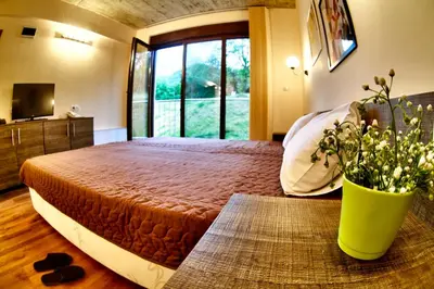 a bedroom with a bed with a plant in a vase at Holiday Home Marta in Dobrevtsi