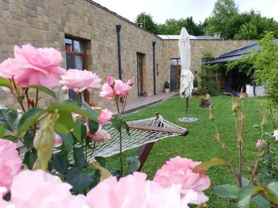 a garden with pink roses and an umbrella at Boomerang Guest House in Apriltsi
