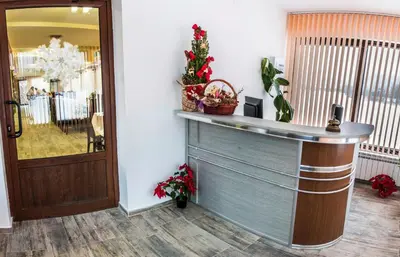 a bar in a lobby with a christmas tree at Hotel Nikol in Dolna Banya