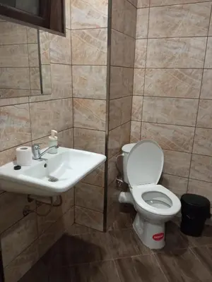 a bathroom with a toilet and a sink at Bobekova Kashta in Panagyurishte