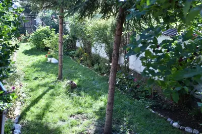 a garden with two trees and some grass and flowers at Martin Club Hotel in Bansko