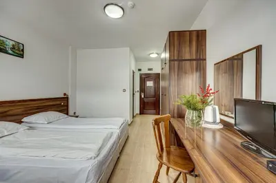 a bedroom with a bed and a desk with a television at Ema Hotel Bansko in Bansko