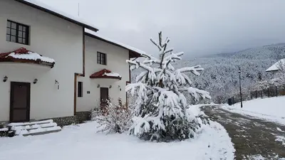 a snow covered tree in front of a house at Pinerose Resort in Bansko