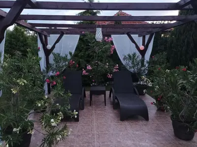 a pergola with chairs and flowers on a patio at Guesthouse Dida in Sapareva Banya
