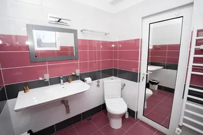 a bathroom with a toilet and a sink and a mirror at Guest house Traikovi in Petrich