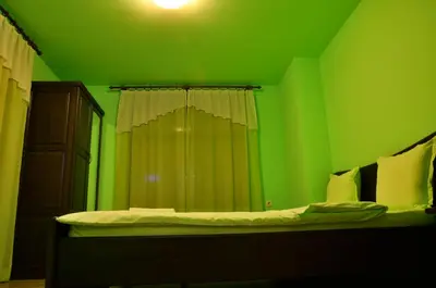 a green bedroom with a bed and a window at Guest House Ivan in Cherni Osŭm