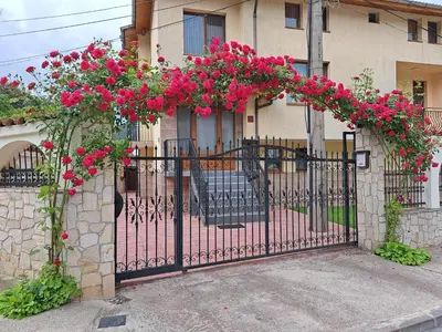 a black iron gate with pink flowers on it at Guest House Benita in Devin