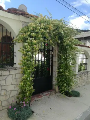 a black gate with a bunch of flowers on it at Guest House Benita in Devin