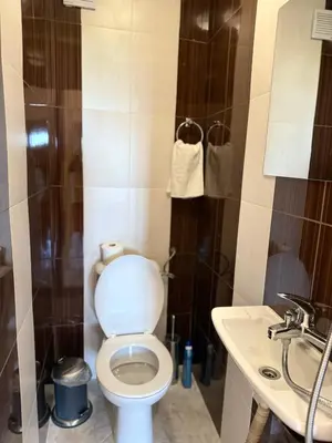 a bathroom with a toilet and a sink at Apartment Durvenitza in Sofia