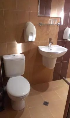 a bathroom with a toilet and a sink at Family Hotel Kartala in Blagoevgrad