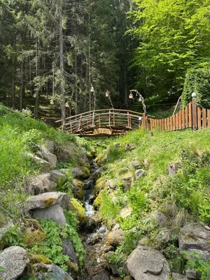 a wooden bridge over a stream in a forest at Villa Hills - къща за гости с храна in Orlino