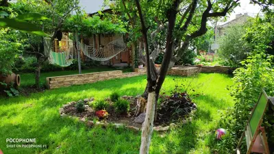 a garden with a tree in a yard at Georgievi Guest House in Sapareva Banya