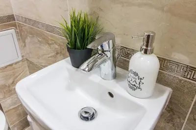 a bathroom sink with a soap dispenser and a plant at Domus Apartments Old Town with Garage in Plovdiv