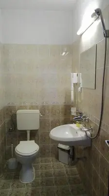 a bathroom with a toilet and a sink at Tsvetkovi Guest House in Dobrinishte