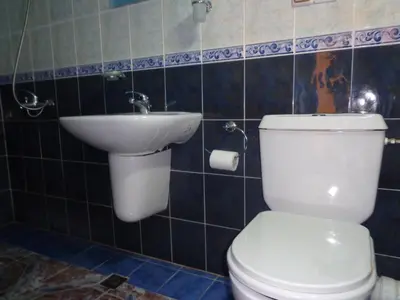 a bathroom with a white toilet and a sink at Family Hotel Ecorelax in Madzhare