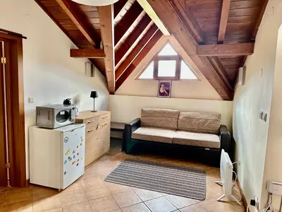 a living room with a couch and a microwave at Entire Private Apartment in Pirin Golf & Country Club in Bansko