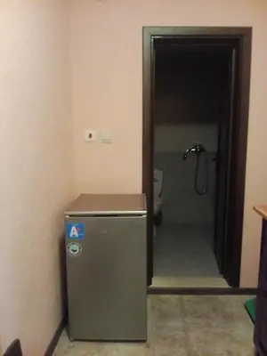a small refrigerator in a bathroom with a shower at Studio Manushev in Sandanski