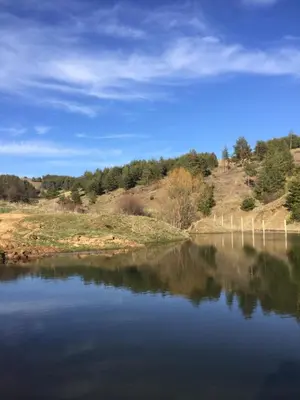 a view of a lake with trees on a hill at Park Hotel Eagle Stone in Koprivshtitsa