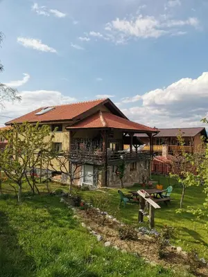 a large house with a yard with a picnic table at Danailovi Guest House in Sapareva Banya