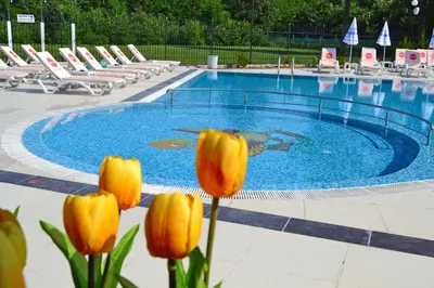 a swimming pool with yellow flowers in front of it at Hotel Ostrova in Plovdiv