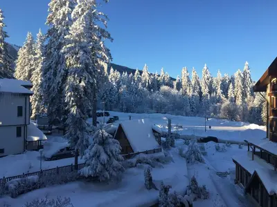 a snow covered yard with a house and trees at Iceberg Apartment 50 in Borovets