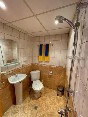 a bathroom with a toilet and a sink and a shower at Guest rooms Colorit in Koprivshtitsa